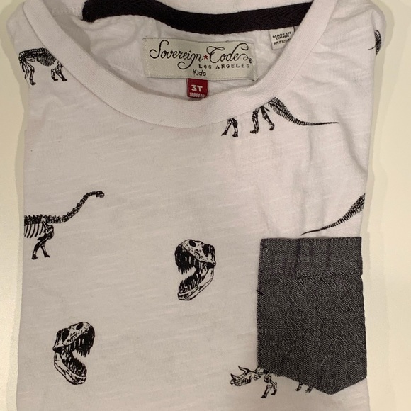Boys dinosaur Nordstrom Sovereign Codes kids t - Picture 3 of 3